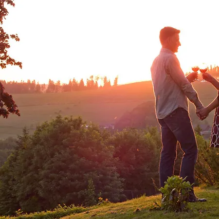 Hotel Sauerland Alpin Schmallenberg