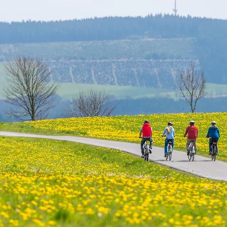 Hotel Sauerland Alpin Schmallenberg