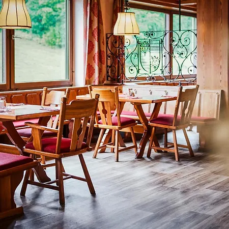 Hotel Sauerland Alpin 3*