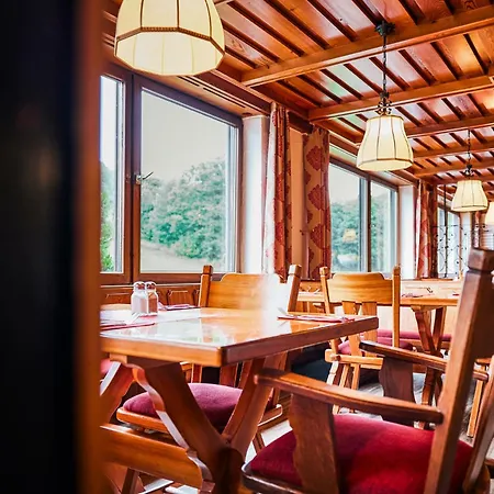 Hotel Sauerland Alpin