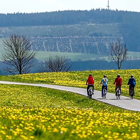 Sauerland Alpin Hotel