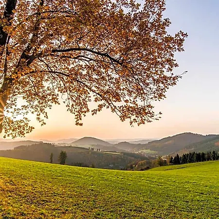 Sauerland Alpin Hotel 3*
