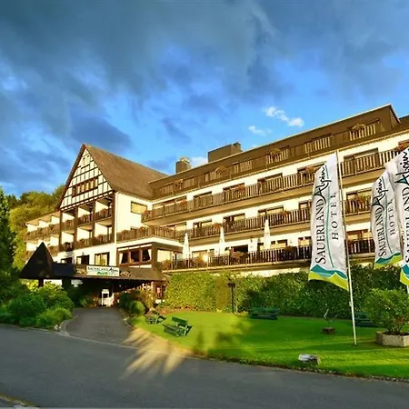 Hotel Sauerland Alpin 3*