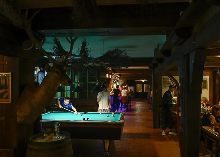 Sauerland Alpin מלון