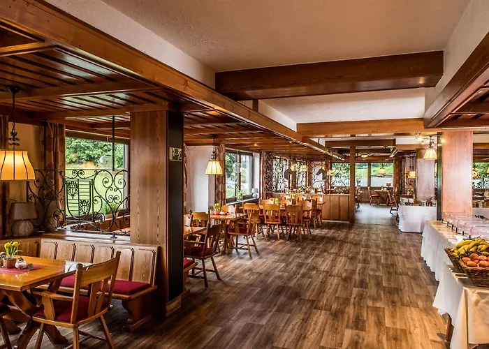 Sauerland Alpin מלון 3*