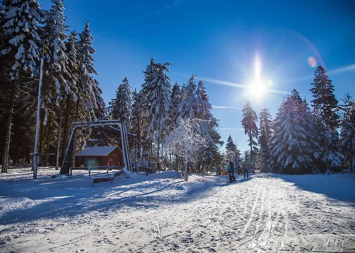 Sauerland Alpin מלון