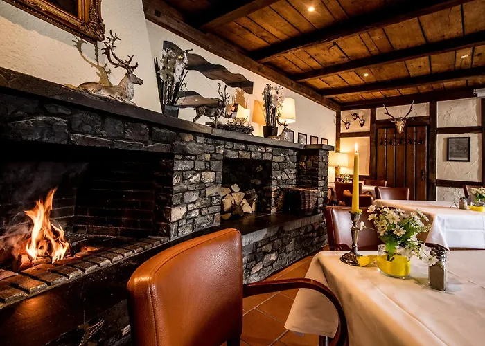 Sauerland Alpin מלון