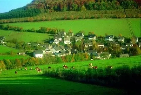 מלון Sauerland Alpin 3*